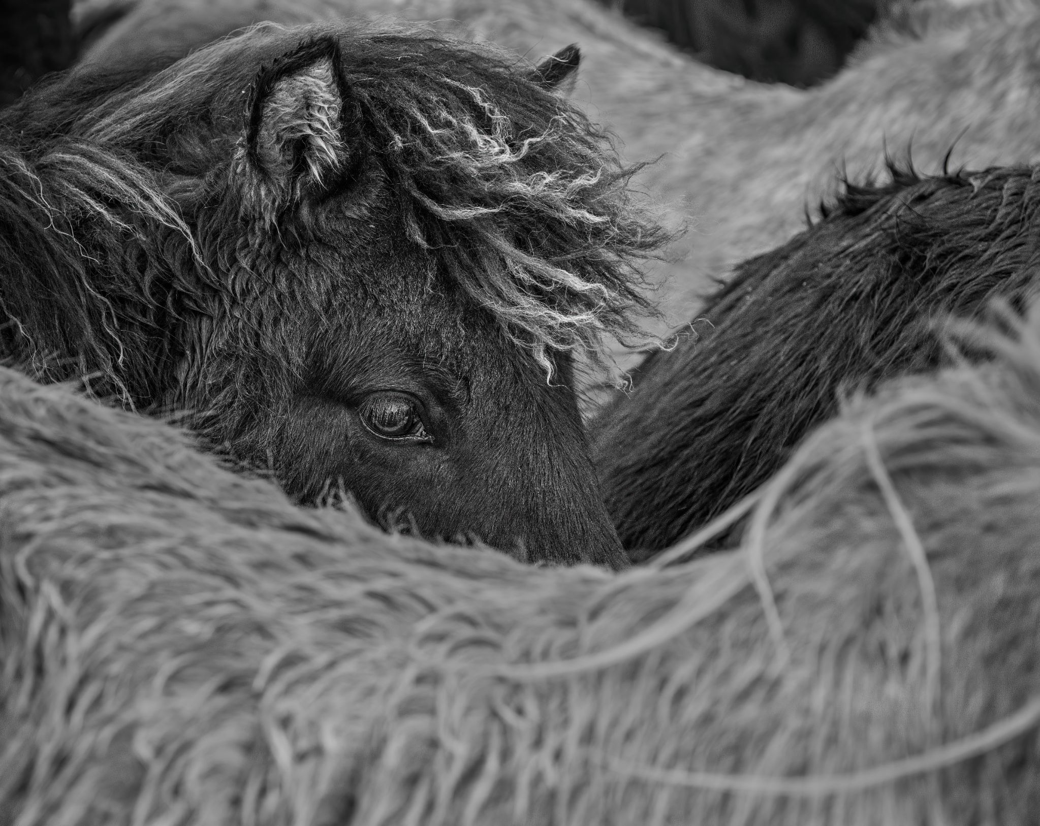 Iceland 47